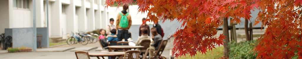 卒業後および大学院修了後の状況報告書