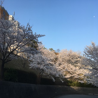 講義・試験について