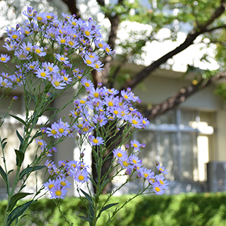 令和7年度入学式（九州情報大学・九州情報大学大学院・九州情報大学日本語別科）の実施について